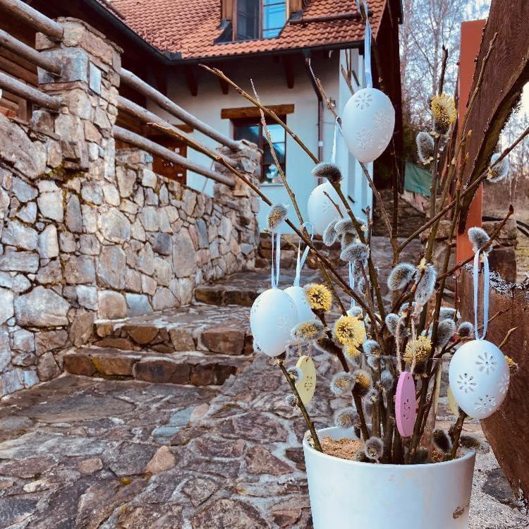 Apartmany Srub Jenisov Horní Planá Extérieur photo